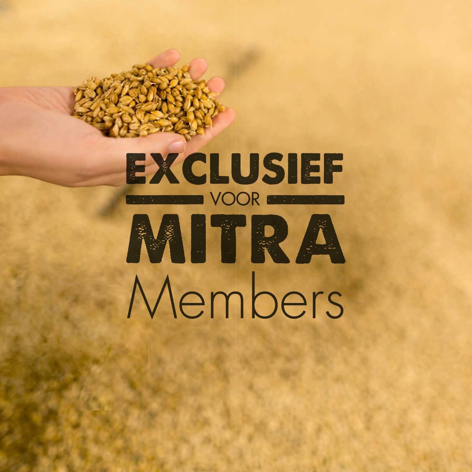 mitra-image-members-mobile